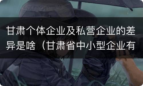 甘肃个体企业及私营企业的差异是啥（甘肃省中小型企业有多少）