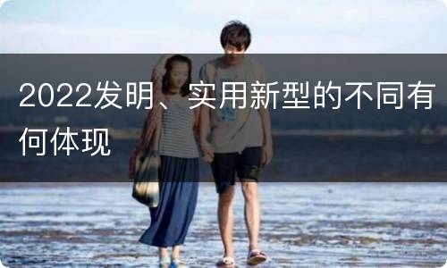 2022发明、实用新型的不同有何体现