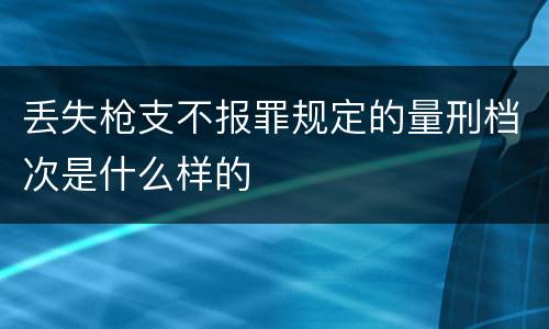 丢失枪支不报罪规定的量刑档次是什么样的