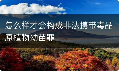 怎么样才会构成非法携带毒品原植物幼苗罪