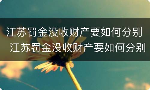 江苏罚金没收财产要如何分别 江苏罚金没收财产要如何分别缴纳