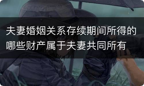 夫妻婚姻关系存续期间所得的哪些财产属于夫妻共同所有