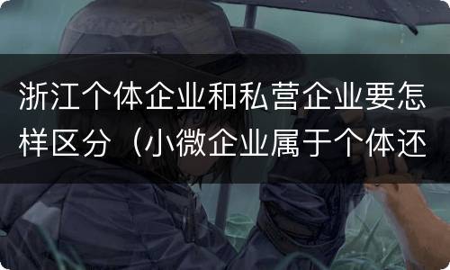 浙江个体企业和私营企业要怎样区分（小微企业属于个体还是私营）