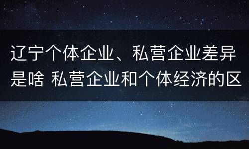 辽宁个体企业、私营企业差异是啥 私营企业和个体经济的区别