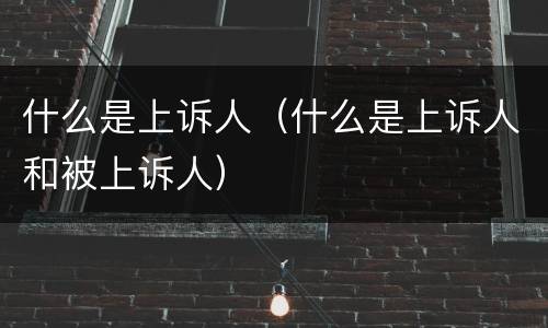 什么是上诉人（什么是上诉人和被上诉人）