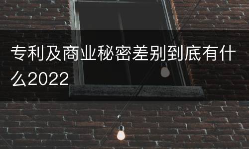 专利及商业秘密差别到底有什么2022