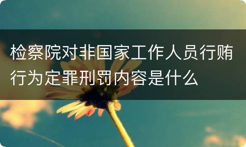 检察院对非国家工作人员行贿行为定罪刑罚内容是什么