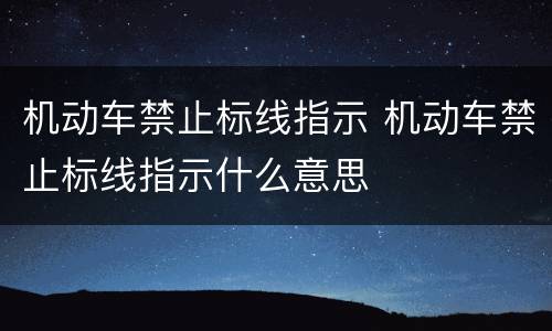 机动车禁止标线指示 机动车禁止标线指示什么意思