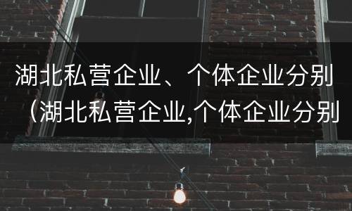 湖北私营企业、个体企业分别（湖北私营企业,个体企业分别有多少家）