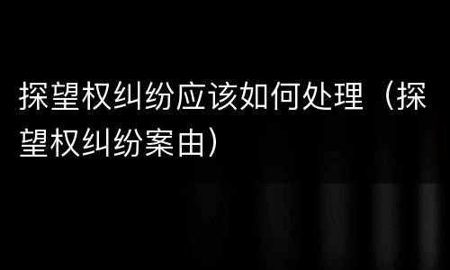 探望权纠纷应该如何处理（探望权纠纷案由）
