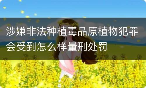 涉嫌非法种植毒品原植物犯罪会受到怎么样量刑处罚