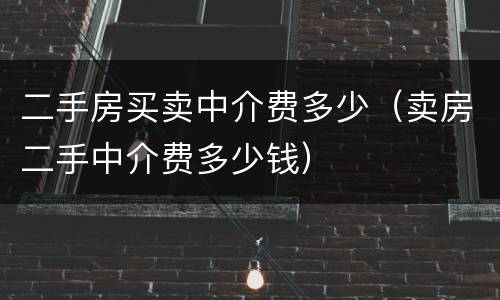 二手房买卖中介费多少（卖房二手中介费多少钱）