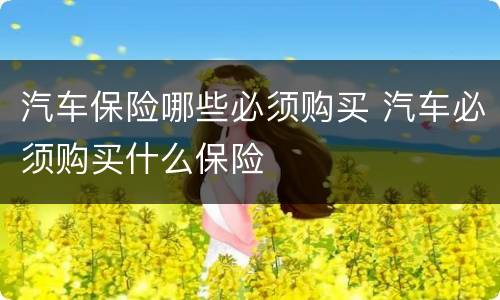 汽车保险哪些必须购买 汽车必须购买什么保险