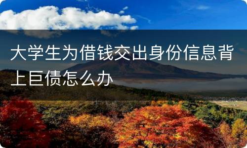 大学生为借钱交出身份信息背上巨债怎么办