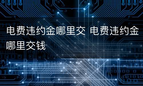 电费违约金哪里交 电费违约金哪里交钱