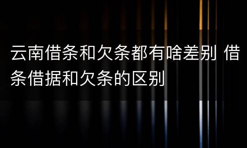云南借条和欠条都有啥差别 借条借据和欠条的区别
