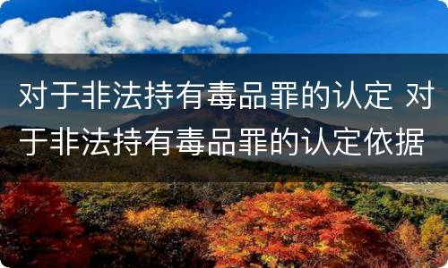 对于非法持有毒品罪的认定 对于非法持有毒品罪的认定依据