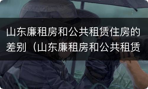 山东廉租房和公共租赁住房的差别（山东廉租房和公共租赁住房的差别大吗）