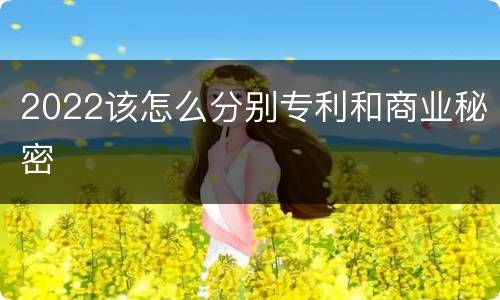 2022该怎么分别专利和商业秘密