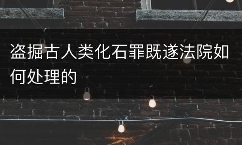 盗掘古人类化石罪既遂法院如何处理的