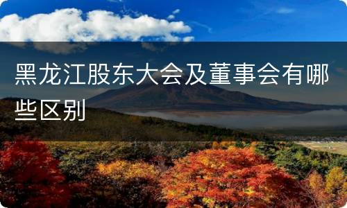 黑龙江股东大会及董事会有哪些区别