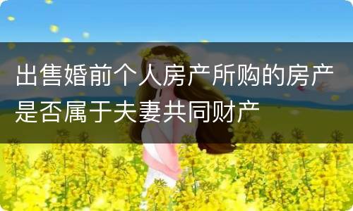 出售婚前个人房产所购的房产是否属于夫妻共同财产