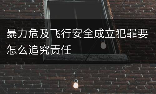 暴力危及飞行安全成立犯罪要怎么追究责任