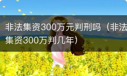 非法集资300万元判刑吗（非法集资300万判几年）