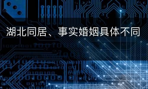 湖北同居、事实婚姻具体不同