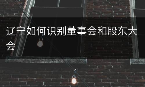 辽宁如何识别董事会和股东大会