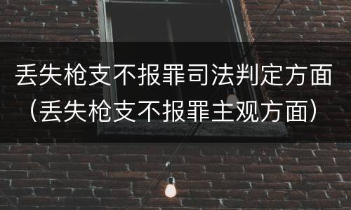丢失枪支不报罪司法判定方面（丢失枪支不报罪主观方面）