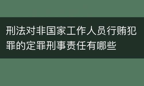 刑法对非国家工作人员行贿犯罪的定罪刑事责任有哪些