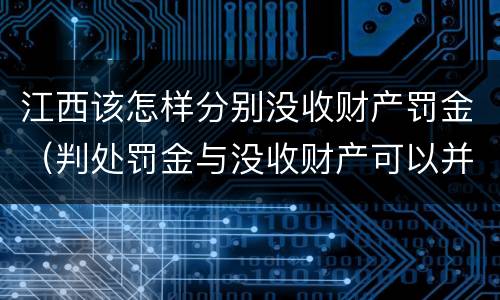 江西该怎样分别没收财产罚金（判处罚金与没收财产可以并罚吗）