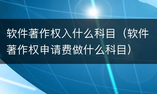 软件著作权入什么科目（软件著作权申请费做什么科目）