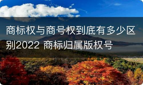 商标权与商号权到底有多少区别2022 商标归属版权号