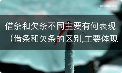 借条和欠条不同主要有何表现（借条和欠条的区别,主要体现在哪些方面?）