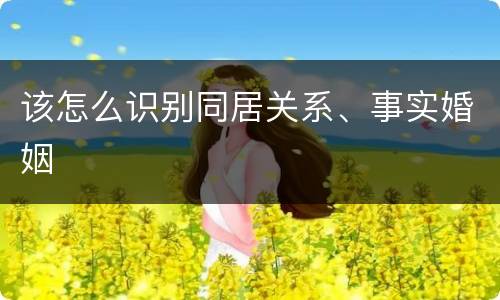 该怎么识别同居关系、事实婚姻