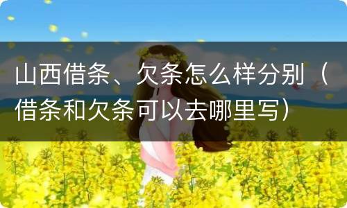 山西借条、欠条怎么样分别（借条和欠条可以去哪里写）
