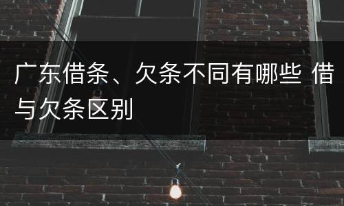 广东借条、欠条不同有哪些 借与欠条区别