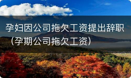 孕妇因公司拖欠工资提出辞职（孕期公司拖欠工资）