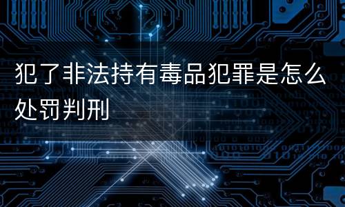 犯了非法持有毒品犯罪是怎么处罚判刑