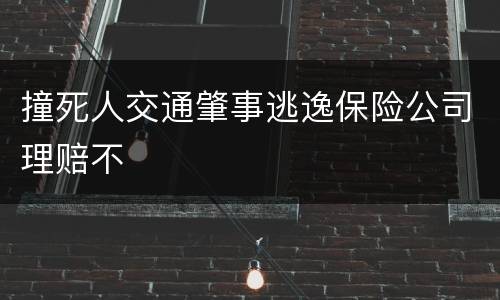 撞死人交通肇事逃逸保险公司理赔不