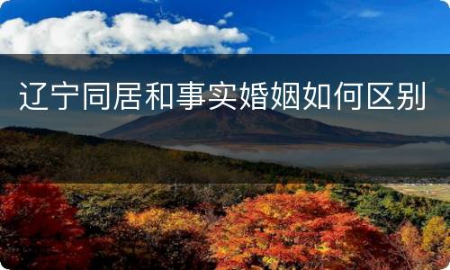 辽宁同居和事实婚姻如何区别