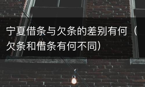 宁夏借条与欠条的差别有何（欠条和借条有何不同）