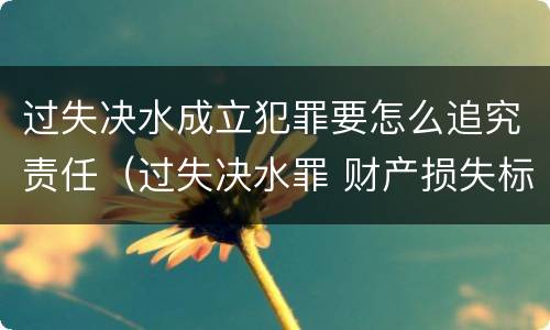 过失决水成立犯罪要怎么追究责任（过失决水罪 财产损失标准）