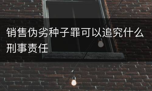 销售伪劣种子罪可以追究什么刑事责任
