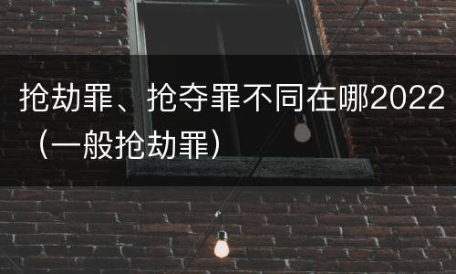 抢劫罪、抢夺罪不同在哪2022（一般抢劫罪）