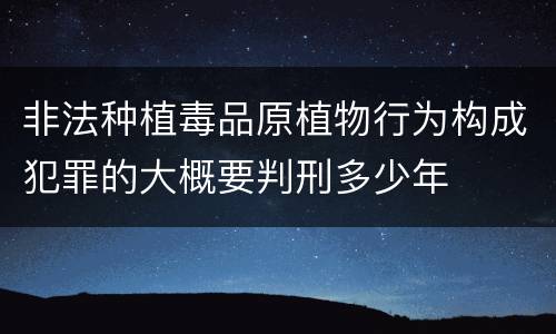 非法种植毒品原植物行为构成犯罪的大概要判刑多少年