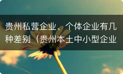贵州私营企业、个体企业有几种差别（贵州本土中小型企业有哪些）