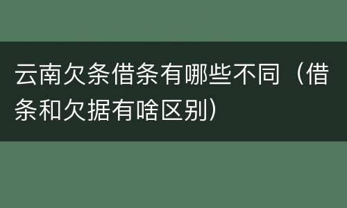 云南欠条借条有哪些不同（借条和欠据有啥区别）